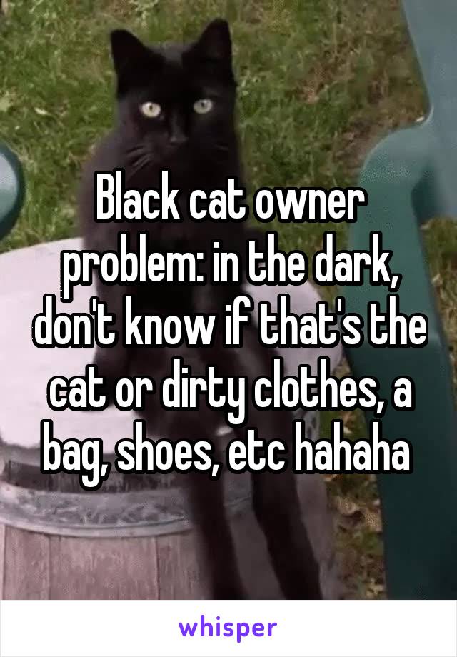 Black cat owner problem: in the dark, don't know if that's the cat or dirty clothes, a bag, shoes, etc hahaha 