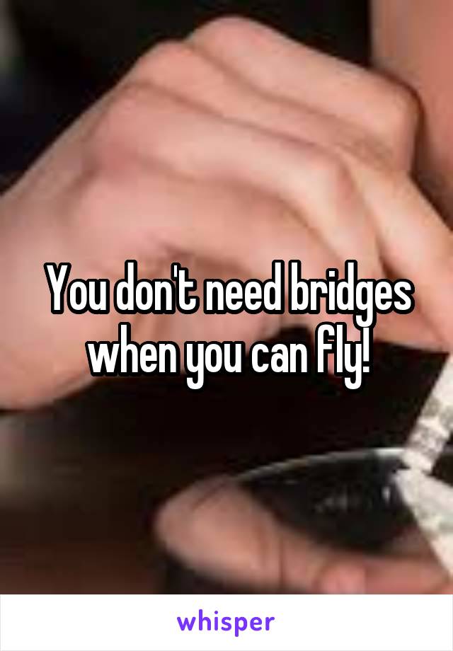 You don't need bridges when you can fly!
