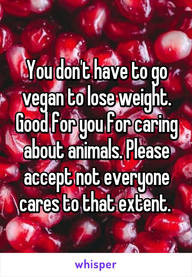 You don't have to go vegan to lose weight. Good for you for caring about animals. Please accept not everyone cares to that extent. 
