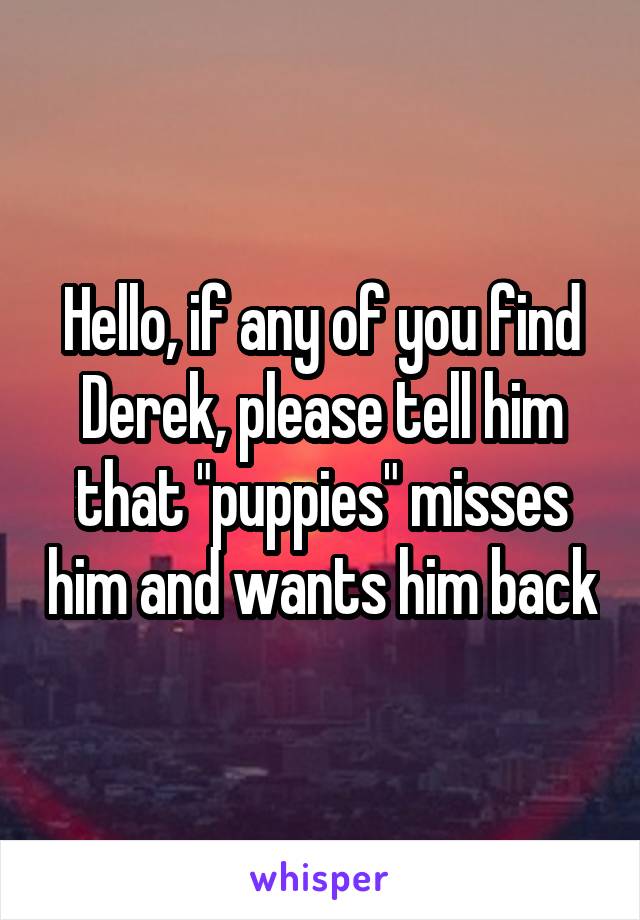 Hello, if any of you find Derek, please tell him that "puppies" misses him and wants him back