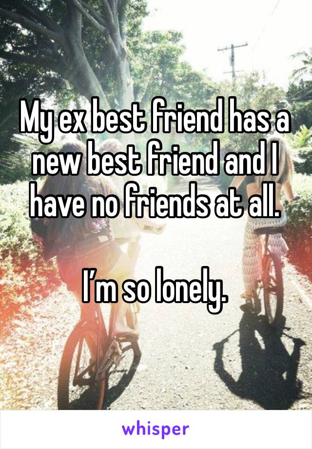 My ex best friend has a new best friend and I have no friends at all.  

I’m so lonely. 
