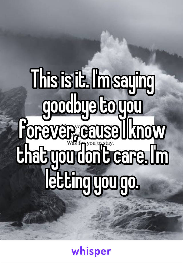 This is it. I'm saying goodbye to you forever, cause I know that you don't care. I'm letting you go.