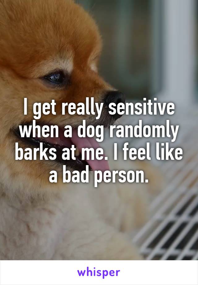 I get really sensitive when a dog randomly barks at me. I feel like a bad person.