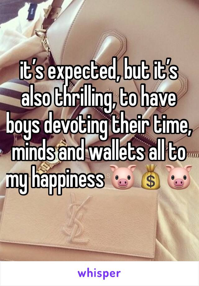 
it’s expected, but it’s also thrilling, to have boys devoting their time, minds and wallets all to my happiness 🐷💰🐷