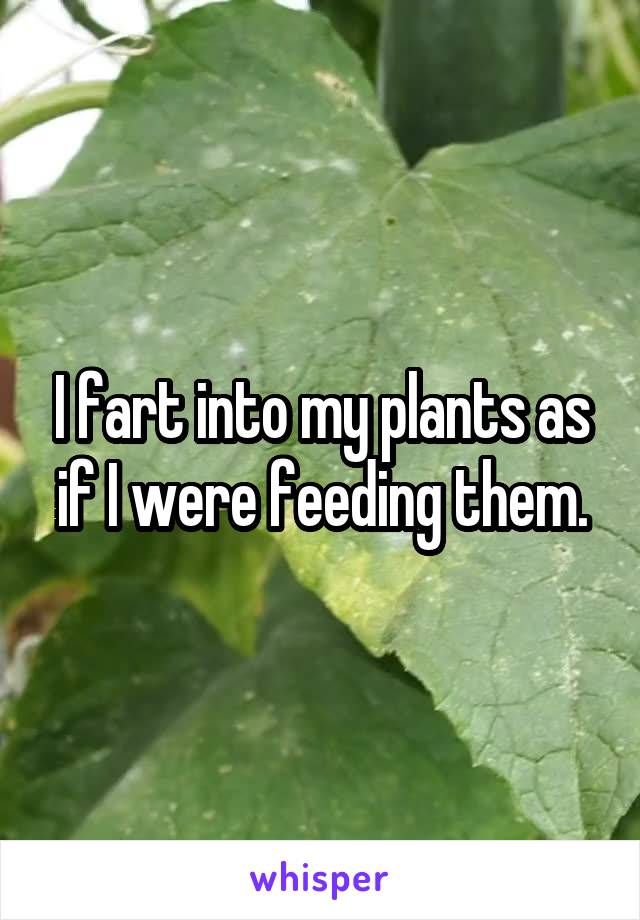 I fart into my plants as if I were feeding them.