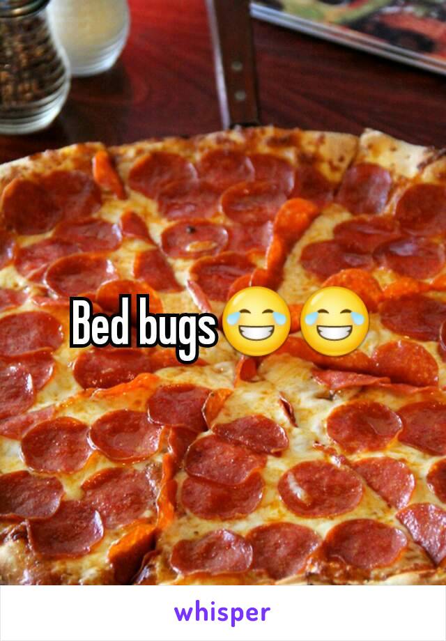 Bed bugs😂😂