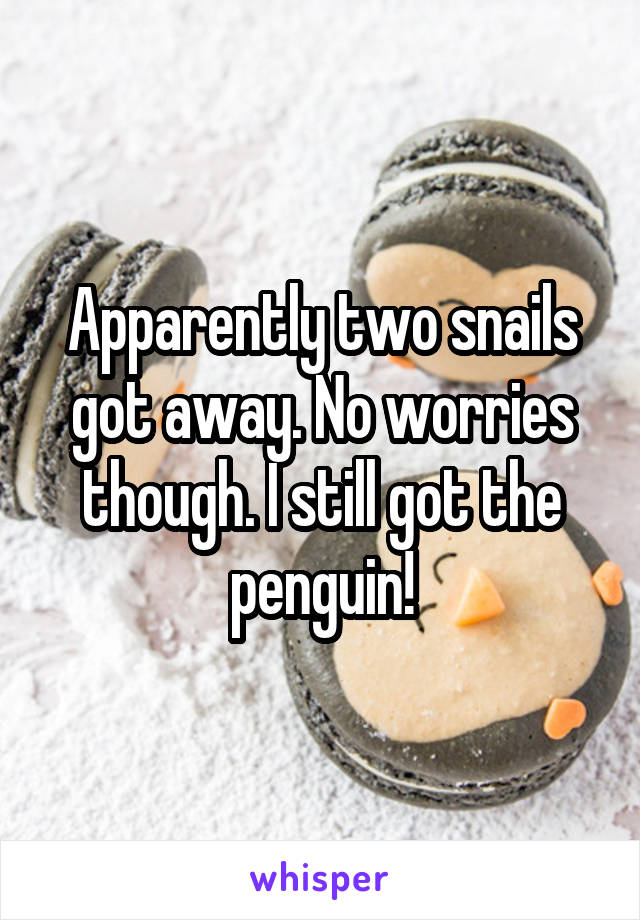 Apparently two snails got away. No worries though. I still got the penguin!
