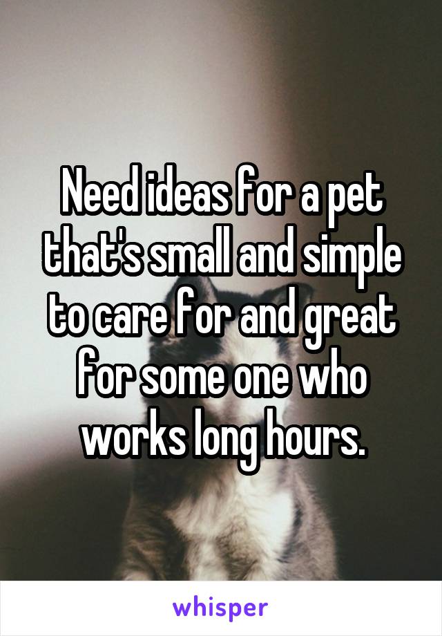 Need ideas for a pet that's small and simple to care for and great for some one who works long hours.
