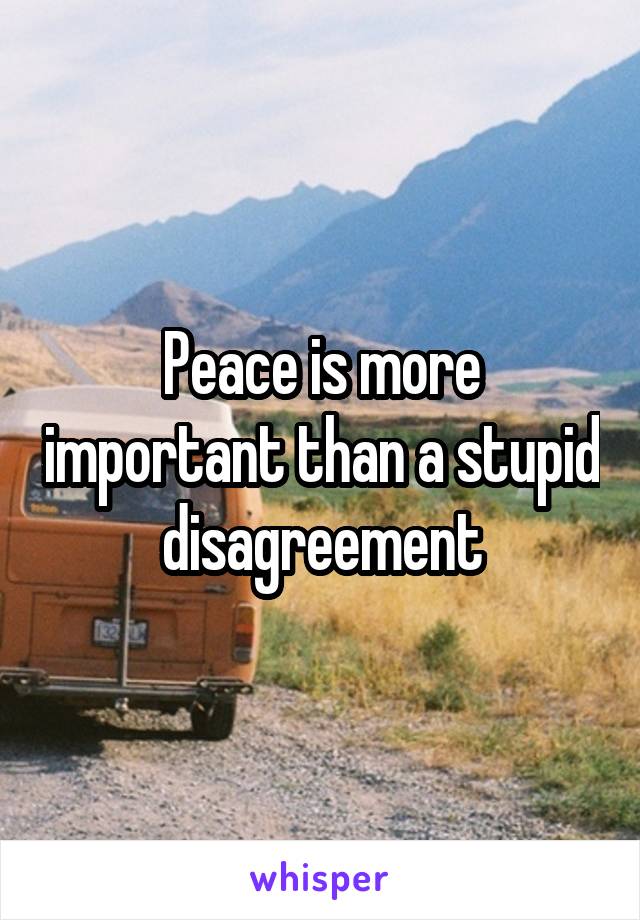 Peace is more important than a stupid disagreement