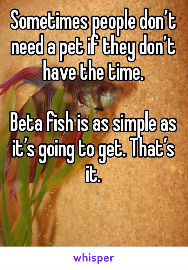 Sometimes people don’t need a pet if they don’t have the time. 

Beta fish is as simple as it’s going to get. That’s it.