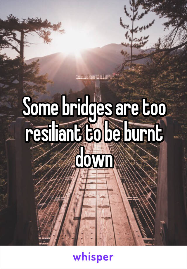 Some bridges are too resiliant to be burnt down