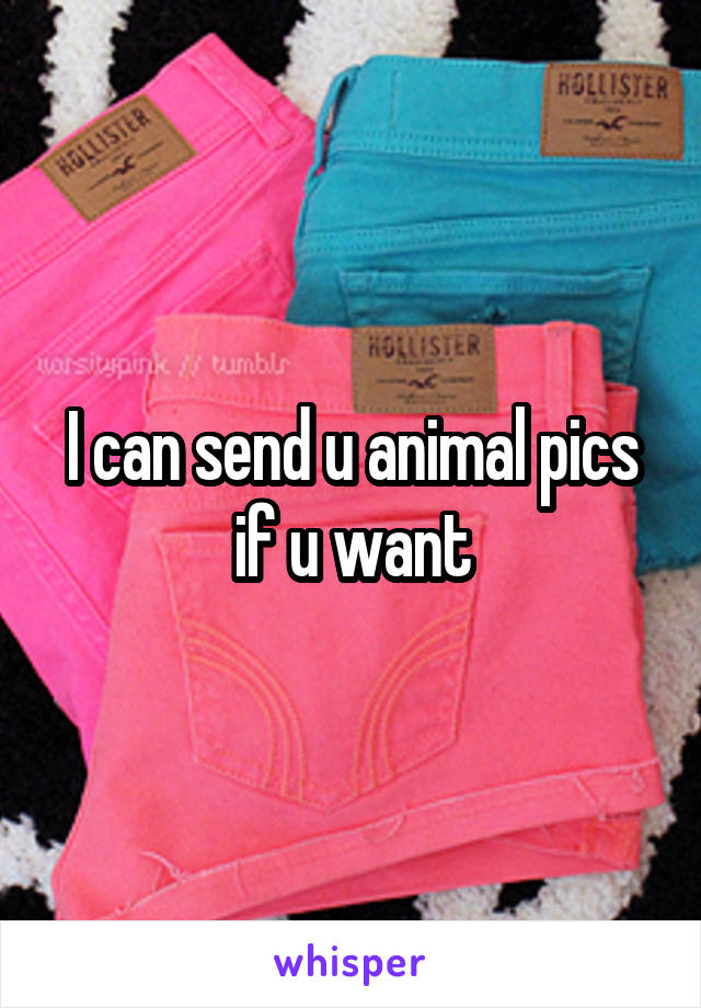 I can send u animal pics if u want