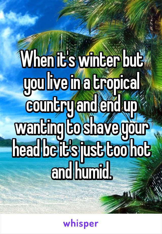 When it's winter but you live in a tropical country and end up wanting to shave your head bc it's just too hot and humid.