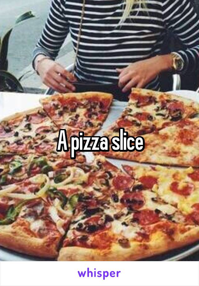A pizza slice