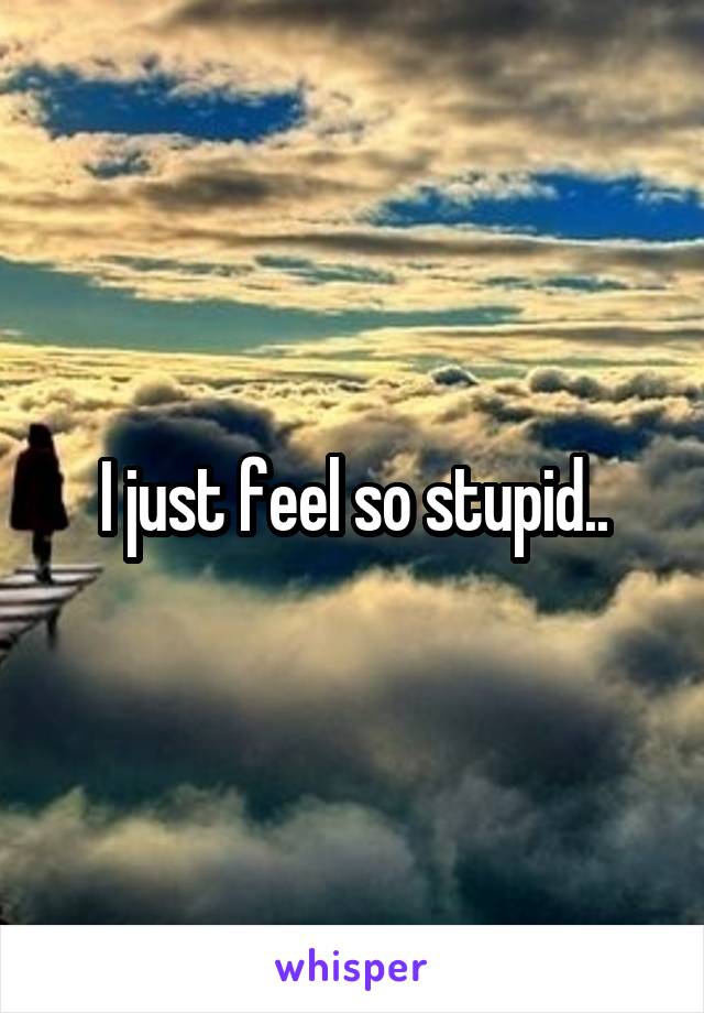 I just feel so stupid..