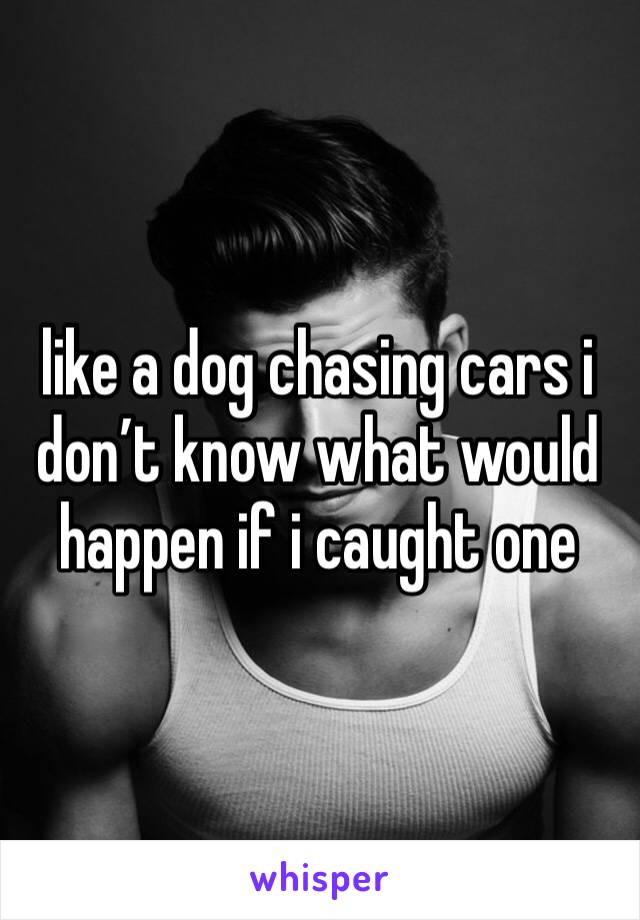 like a dog chasing cars i don’t know what would happen if i caught one 