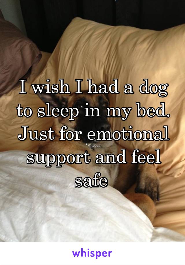 I wish I had a dog to sleep in my bed. Just for emotional support and feel safe 