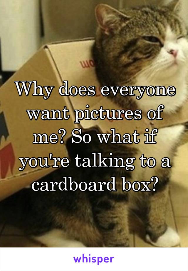 Why does everyone want pictures of me? So what if you're talking to a cardboard box?