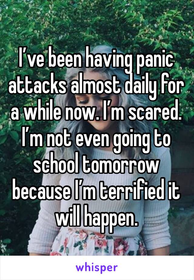 I’ve been having panic attacks almost daily for a while now. I’m scared. I’m not even going to school tomorrow because I’m terrified it will happen.  