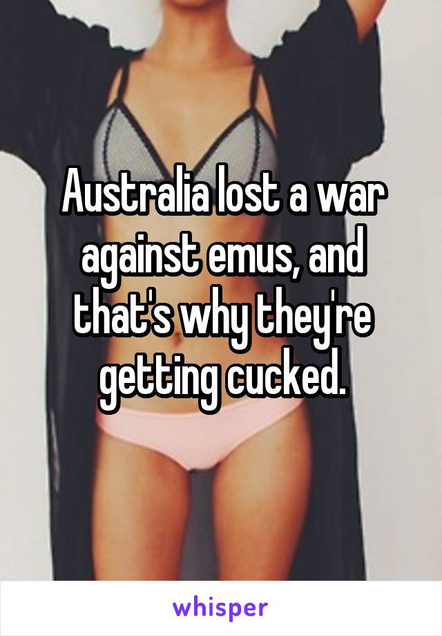 Australia lost a war against emus, and that's why they're getting cucked.
