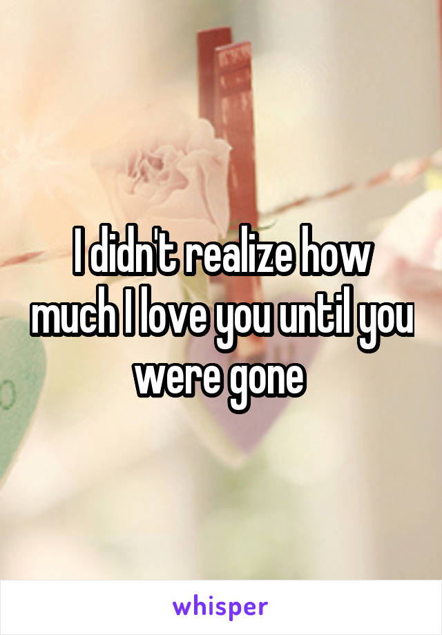 I didn't realize how much I love you until you were gone 