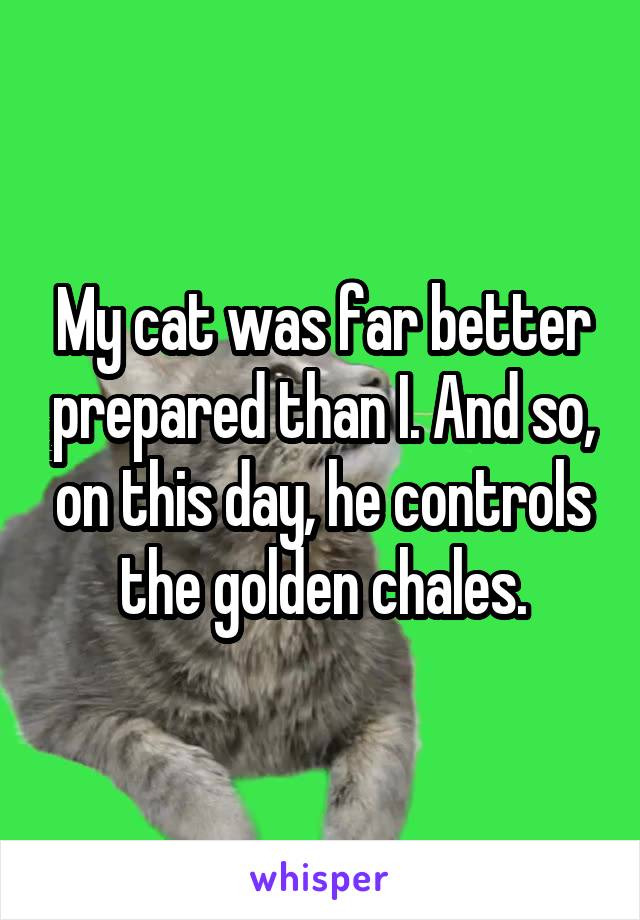 My cat was far better prepared than I. And so, on this day, he controls the golden chales.