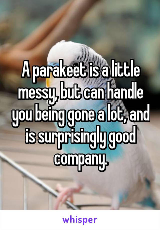 A parakeet is a little messy, but can handle you being gone a lot, and is surprisingly good company.