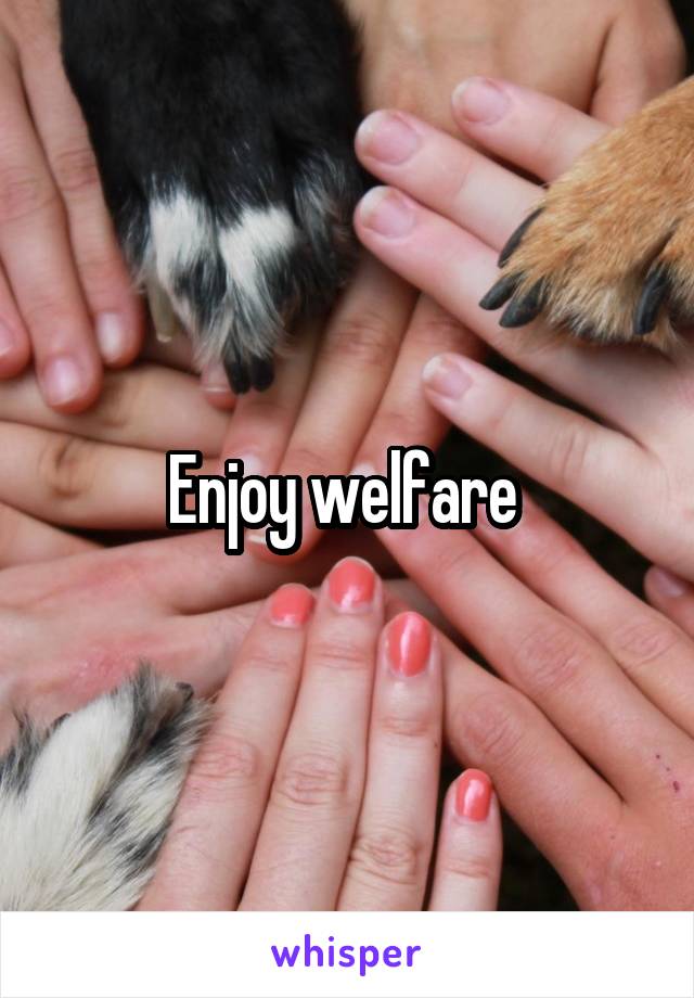 Enjoy welfare 