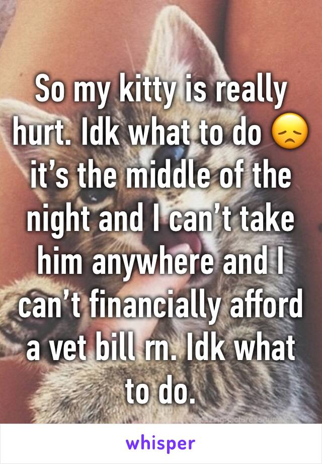 So my kitty is really hurt. Idk what to do 😞 it’s the middle of the night and I can’t take him anywhere and I can’t financially afford a vet bill rn. Idk what to do. 