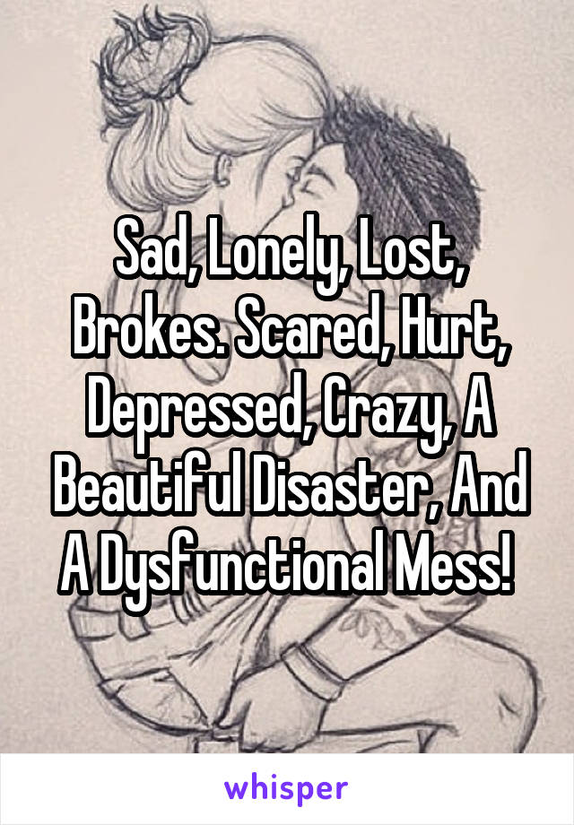 Sad, Lonely, Lost, Brokes. Scared, Hurt, Depressed, Crazy, A Beautiful Disaster, And A Dysfunctional Mess! 