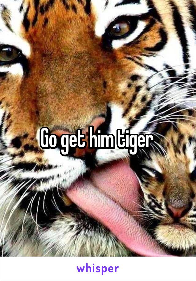 Go get him tiger 