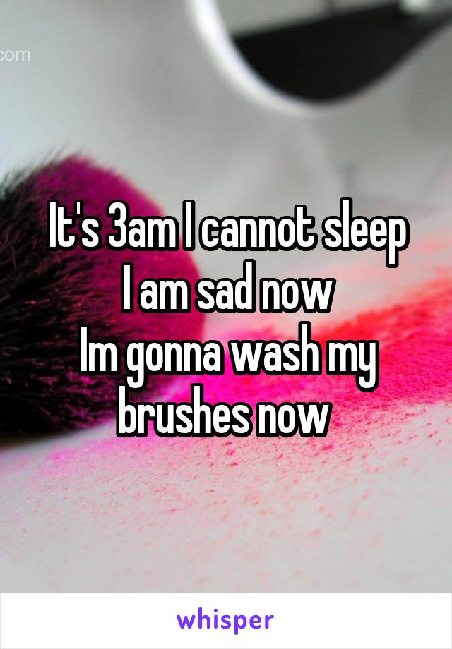 It's 3am I cannot sleep
I am sad now
Im gonna wash my brushes now 