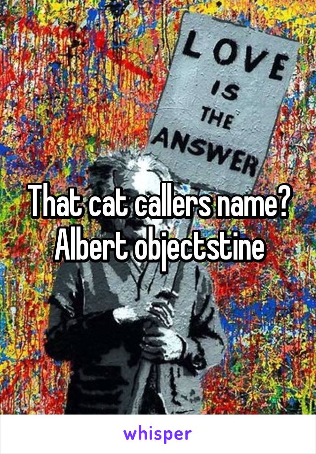 That cat callers name? Albert objectstine