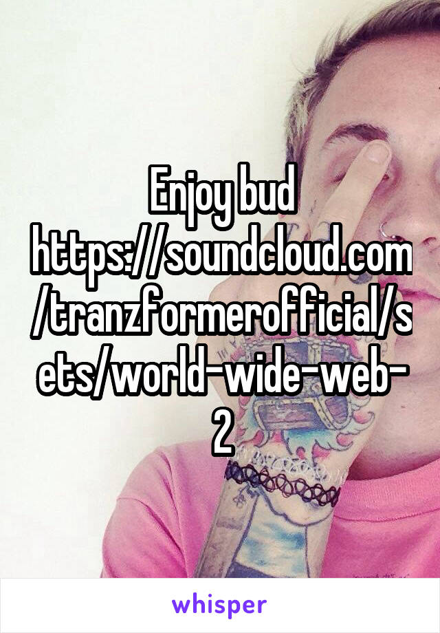 Enjoy bud https://soundcloud.com/tranzformerofficial/sets/world-wide-web-2