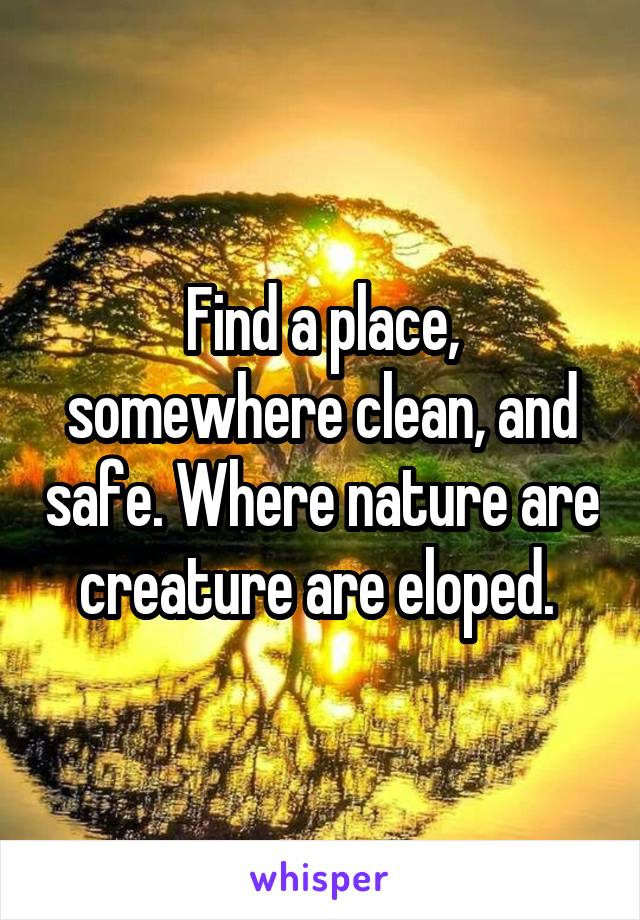 Find a place, somewhere clean, and safe. Where nature are creature are eloped. 