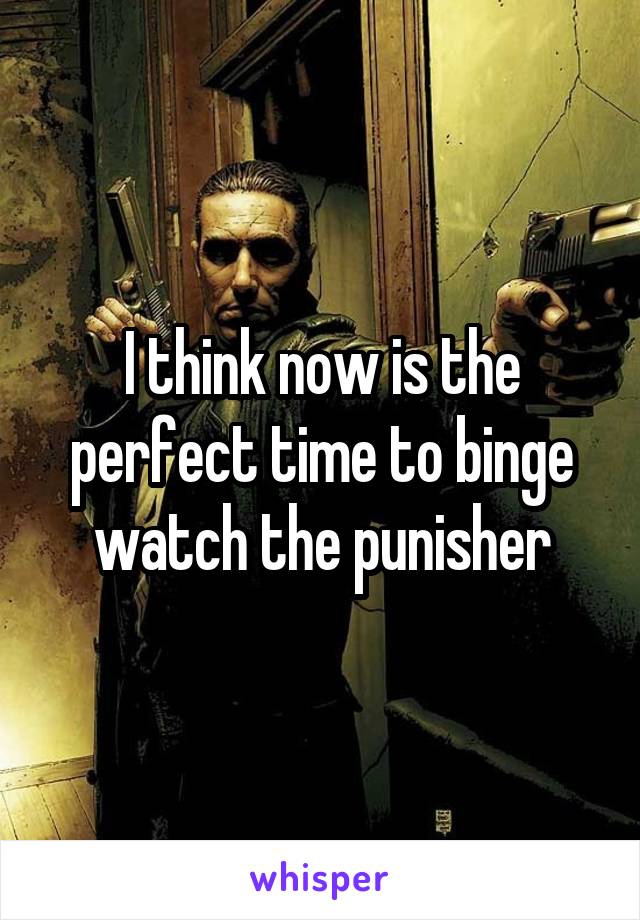 I think now is the perfect time to binge watch the punisher
