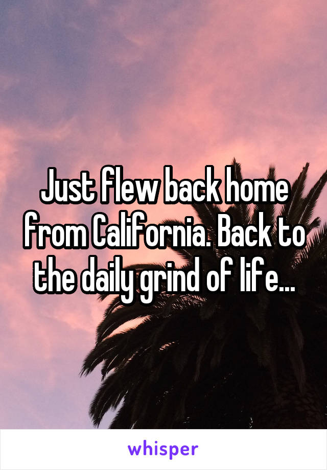 Just flew back home from California. Back to the daily grind of life...