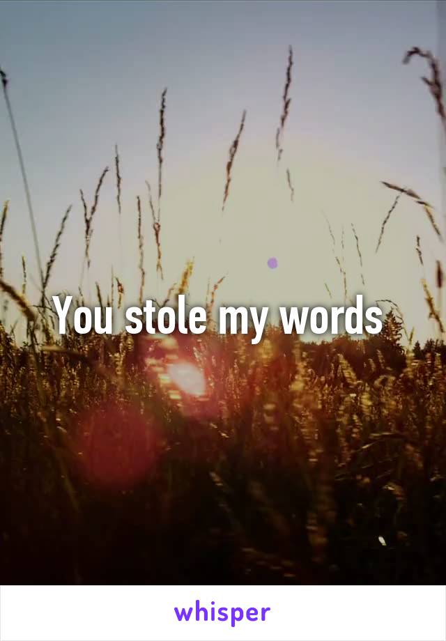 You stole my words 