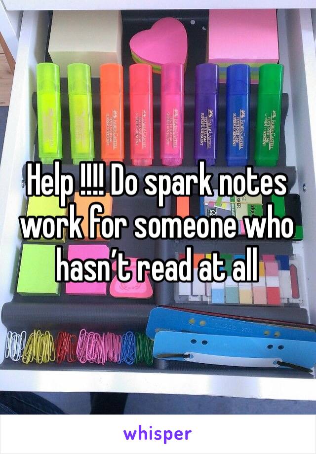 Help !!!! Do spark notes work for someone who hasn’t read at all