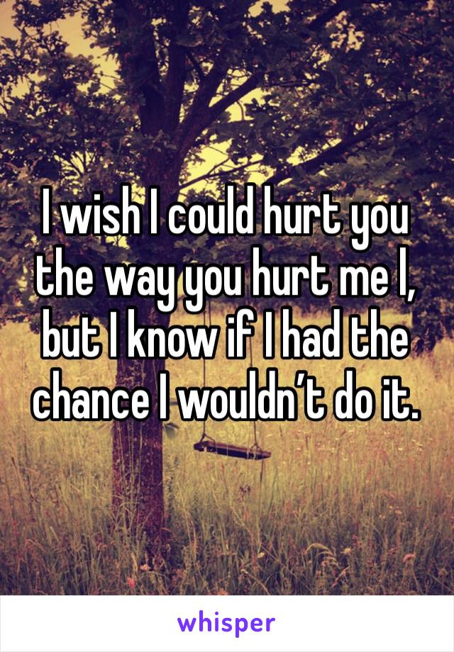 I wish I could hurt you the way you hurt me l, but I know if I had the chance I wouldn’t do it. 