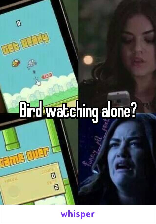 Bird watching alone?