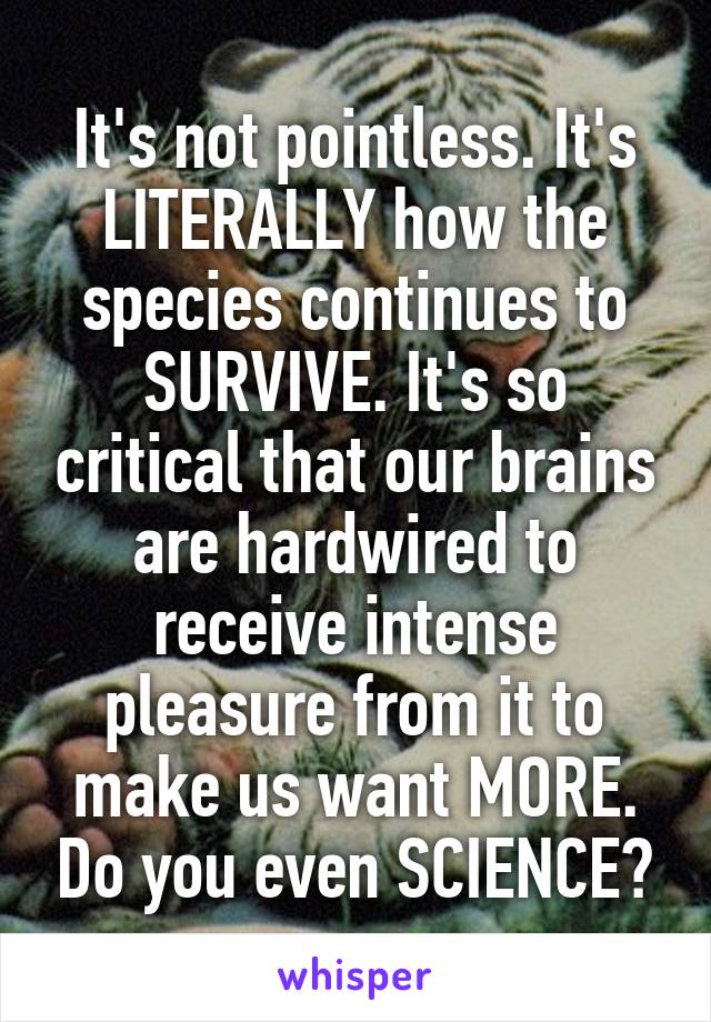 It's not pointless. It's LITERALLY how the species continues to SURVIVE. It's so critical that our brains are hardwired to receive intense pleasure from it to make us want MORE. Do you even SCIENCE?