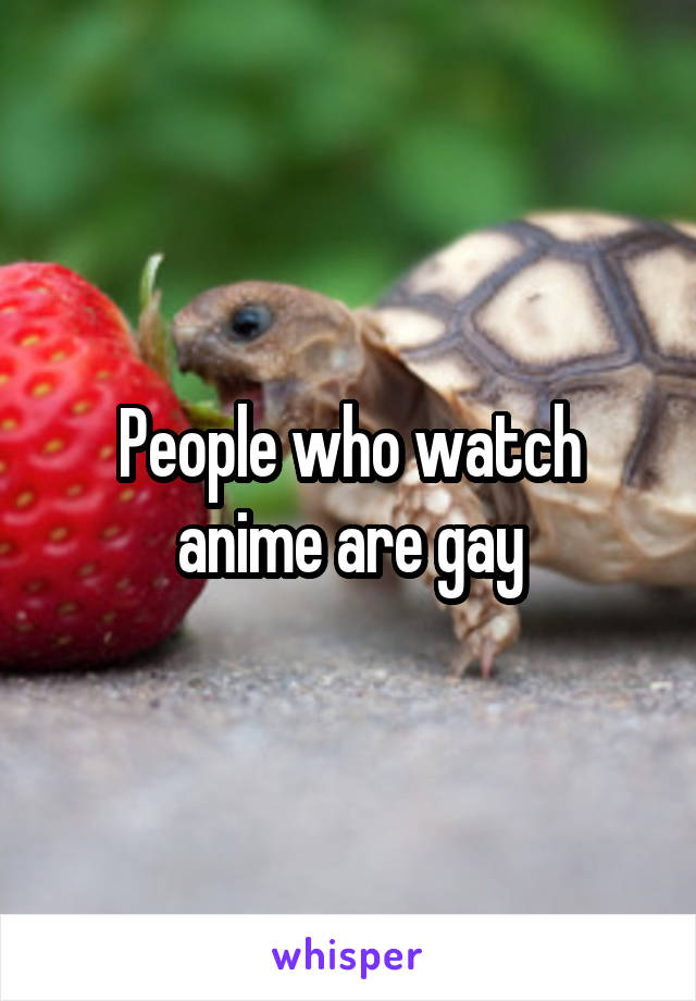 People who watch anime are gay