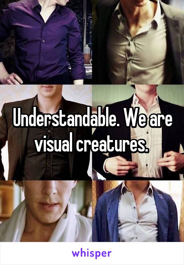 Understandable. We are visual creatures. 