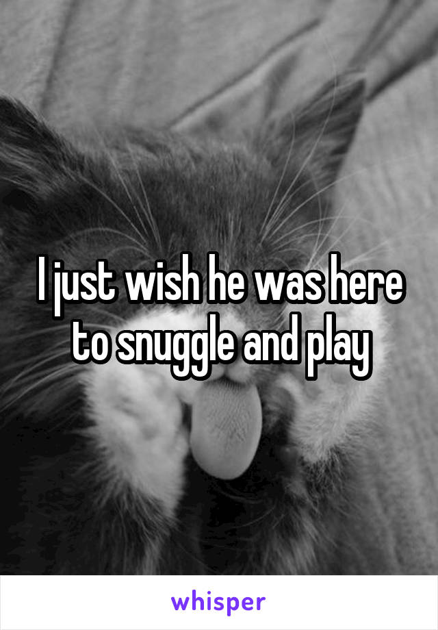 I just wish he was here to snuggle and play