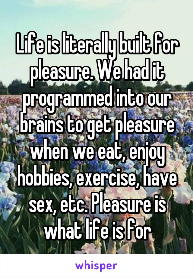 Life is literally built for pleasure. We had it programmed into our brains to get pleasure when we eat, enjoy hobbies, exercise, have sex, etc. Pleasure is what life is for