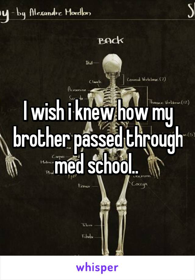 I wish i knew how my brother passed through med school.. 