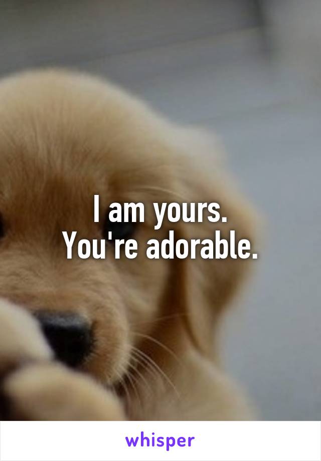 I am yours.
You're adorable.