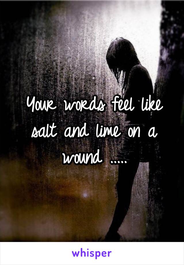 Your words feel like salt and lime on a wound .....