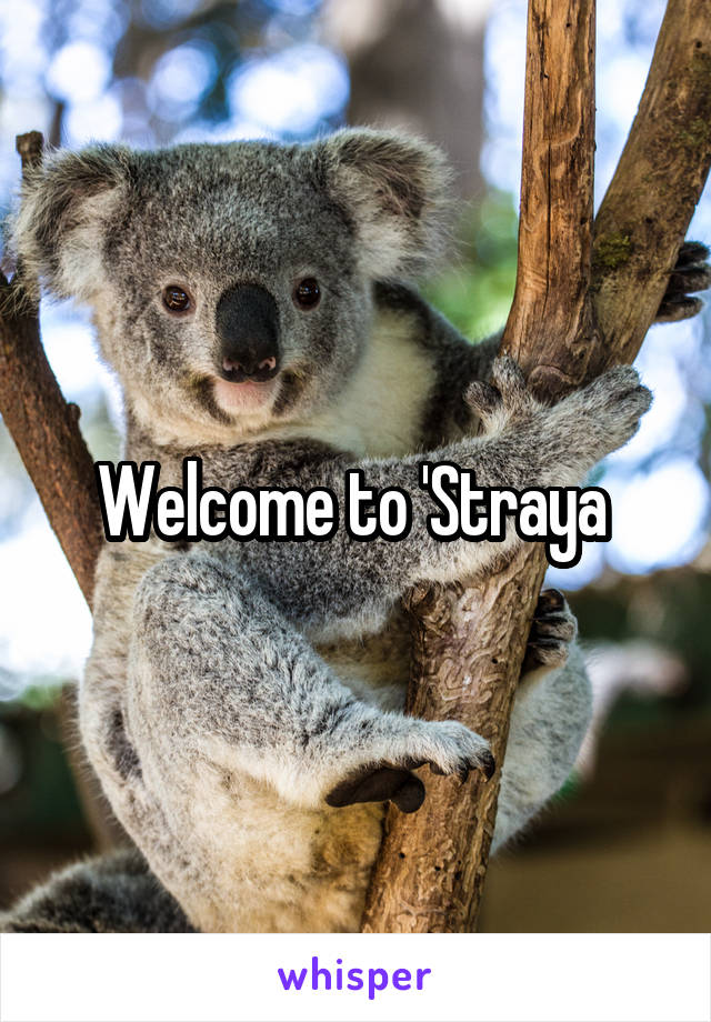 Welcome to 'Straya 